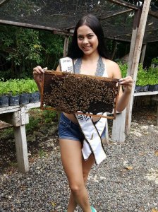 Binibinis visit Bohol Bee Farm